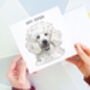Poodle Happy Birthday Card, thumbnail 2 of 2