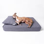 Anti Microbial Memory Foam Dog Bed Mattress And Feather Bolster Pad, thumbnail 4 of 10