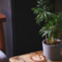Indonesia Sumatra Decaffeinated Coffee, thumbnail 2 of 2