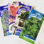Rainbow Tree Teacher Gift Bag With Seeds, thumbnail 2 of 2