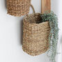 Natural Seagrass Hanging Basket, thumbnail 1 of 3