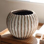 Large Ribbed Round Ceramic Vase, thumbnail 1 of 4