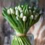 Fresh White Tulips Bouquet, thumbnail 3 of 3