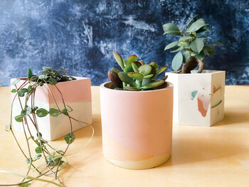 Make Your Own Plant Pot Kit, 3 of 7