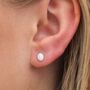Sterling Silver Oval Opal Stud Earrings, thumbnail 2 of 6