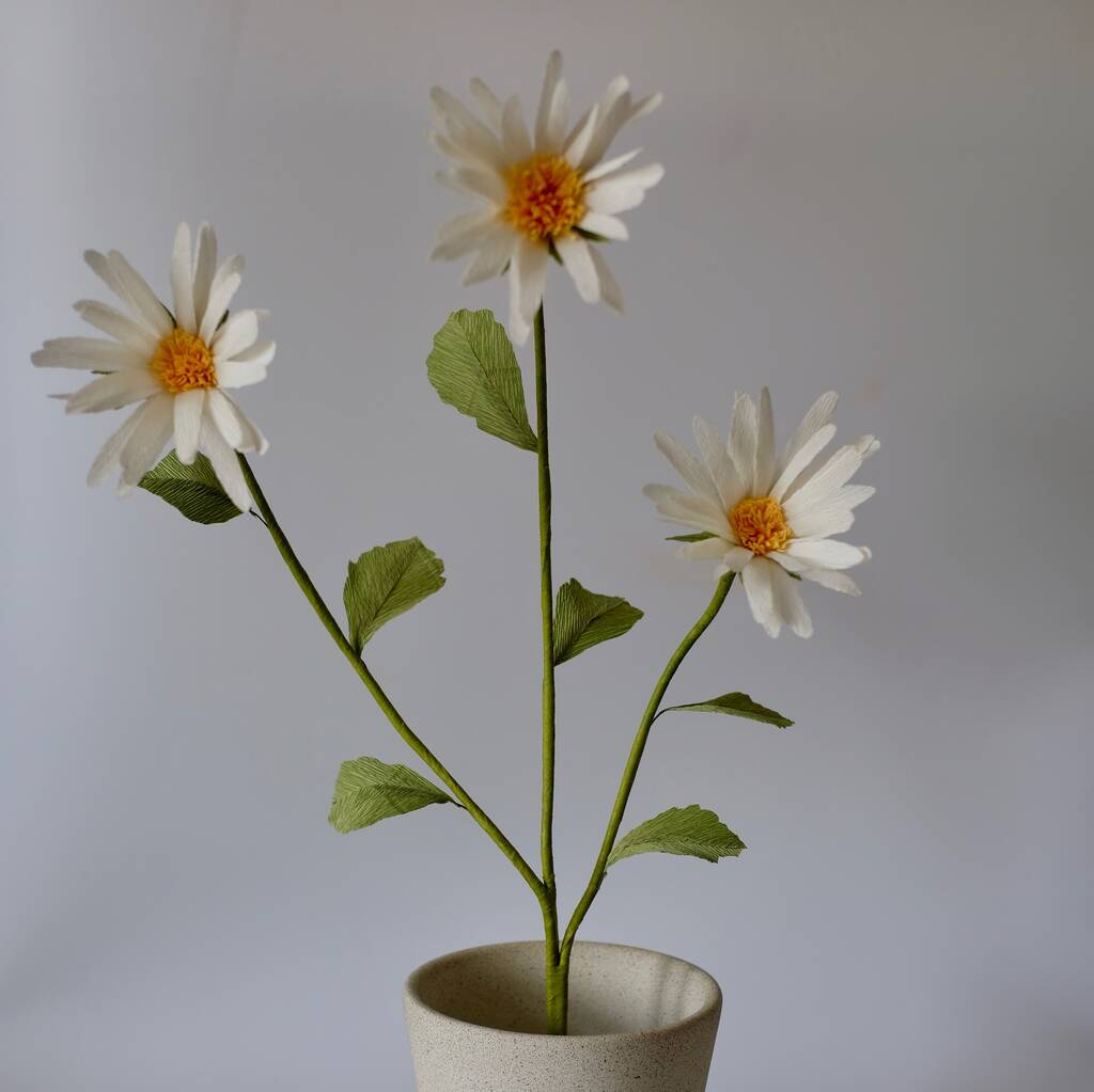 Oxeye Daisy Paper Flower Anniversary Gift By Leo Flowers