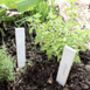 Topiary Design Stoneware Plant Markers, thumbnail 6 of 7