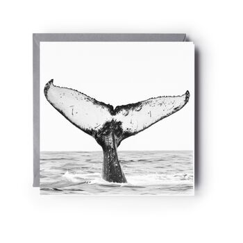 Whale Tail Sea Life Greeting Card, 3 of 6
