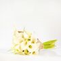 Arctic White Calla Lily Fresh Flower Bouquet, thumbnail 2 of 2