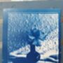 Cyanotype Print Making Workshop Experience For Two In Manchester, thumbnail 10 of 11