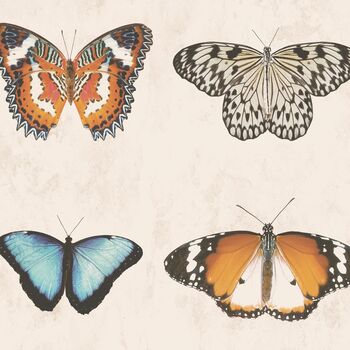 Lepidoptera Natural Wallpaper, 2 of 3