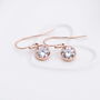Rose Gold Plated Crystal Charm Earrings, thumbnail 1 of 4