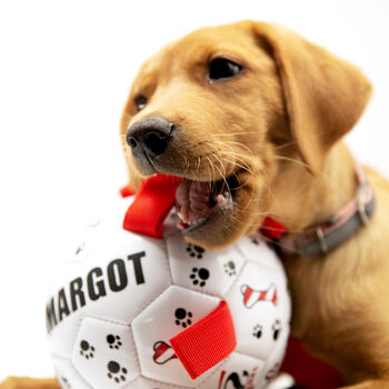 Personalised Dog Football Ball With Dog Tug Straps, 2 of 7