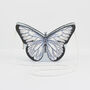 Blue Butterfly Bag, thumbnail 1 of 7