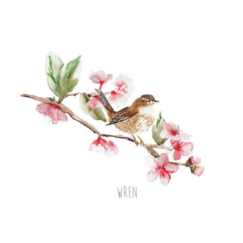Personalised Watercolour Little Wren Art Print, 3 of 4