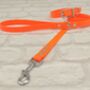 Waterproof Dog Collar And Lead Set Neon Orange, thumbnail 1 of 3