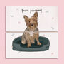 Yorkshire Terrier Paw Bracelet, thumbnail 1 of 7