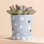 Small Blue Daisy Bee Ceramic Planter And Tray, thumbnail 1 of 3