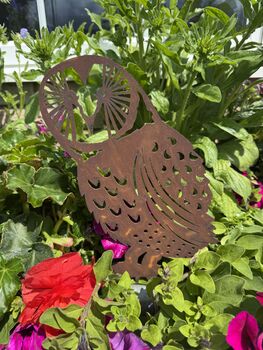 Owl Garden Decoration , Gift For A Gardener , Sign Feature Ornament, 10 of 11