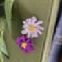 Aster Beaded Flower Craft Kit, thumbnail 3 of 4