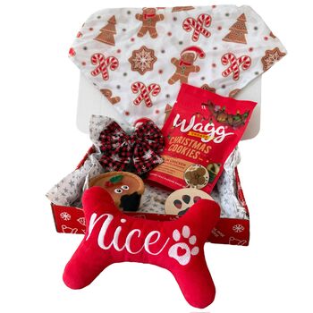 Christmas Dog Gift Box Nice Toy, 2 of 3
