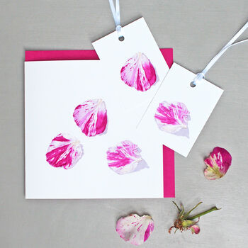 Card With Rose Petals Illustrations, 2 of 3