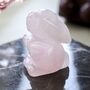 Rose Quartz / Clear Quartz Rabbit Carved Gemstone, thumbnail 5 of 7