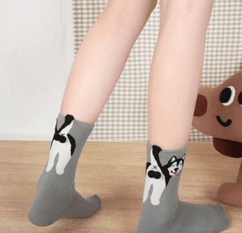 Novelty Fun Socks ~ Dogs With Balls, 8 of 9