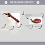 Red Reindeer Christmas Gingham Dog Collar And Lead, thumbnail 2 of 3