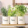 Grow Your Own Herb Garden Planter Pot Set, thumbnail 4 of 9