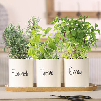 Grow Your Own Herb Garden Planter Pot Set, 4 of 9
