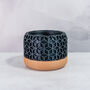Carbon Honeycomb Planter, thumbnail 3 of 4