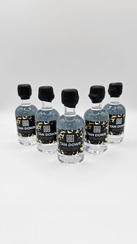 Tan Dowr Premium Cornish Sea Salt Vodka 5cl Miniature, 3 of 6