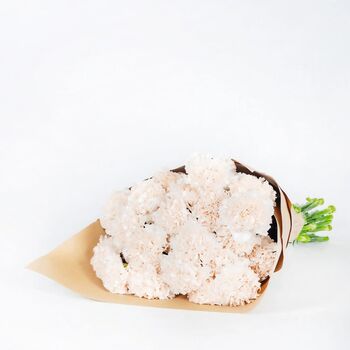 Creme Carnations Fresh Flower Bouquet, 3 of 3