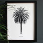 Encyclopaedic Inspired Fine Art Print, Palm Tree, thumbnail 1 of 11