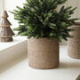 Marbury Round Rattan Planter, thumbnail 1 of 7