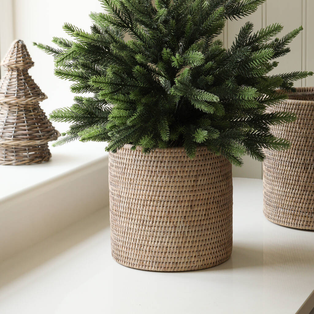 Marbury Round Rattan Planter, 1 of 7