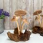Handmade Wooden Mushroom Ornament Natural Decor And Gift, thumbnail 10 of 10