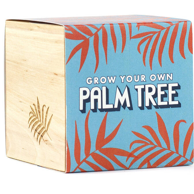 Grow Your Own Palm Tree By all things Brighton beautiful