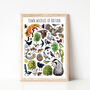 Town Wildlife Of Britain Wildlife Print, thumbnail 5 of 9