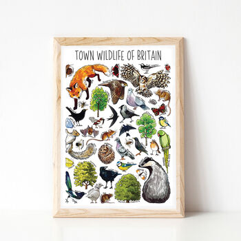 Town Wildlife Of Britain Wildlife Print, 5 of 9