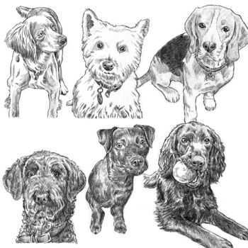 Personalised Pet Portrait Sketch, 9 of 11