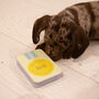 Personalised Puppy Training Treat Tin, thumbnail 4 of 10