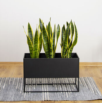 Black Long Metal Planter Raised On Stand By Dezzanti ...