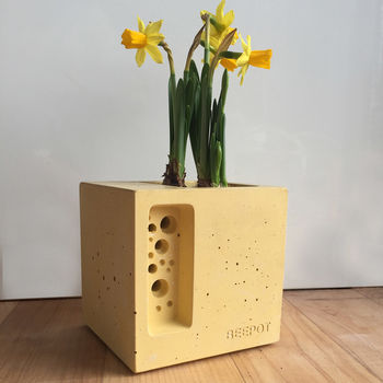 Yellow Beepot Mini Bee Hotel And Planter Garden Gift, 9 of 10