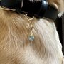 Aquamarine Owner Necklace And Pet Collar Charm Set, thumbnail 4 of 7