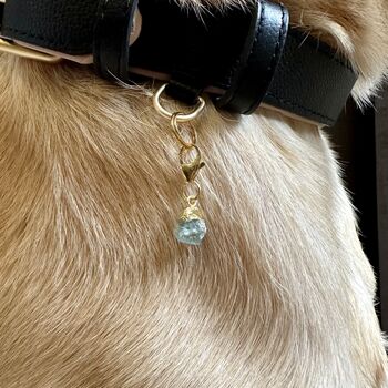 Aquamarine Owner Necklace And Pet Collar Charm Set, 4 of 7