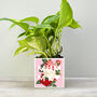 'Mummy' Mother's Day Plant Pot And Houseplant, thumbnail 2 of 7