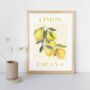 Spanish Lemon Art Print Poster, Spain, Fruit, Hand Drawn, thumbnail 2 of 2