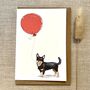 Personalised Lancashire Heeler Dog Birthday Card, thumbnail 1 of 4